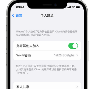 江永apple服务站点分享iPhone上个人热点丢失了怎么办 