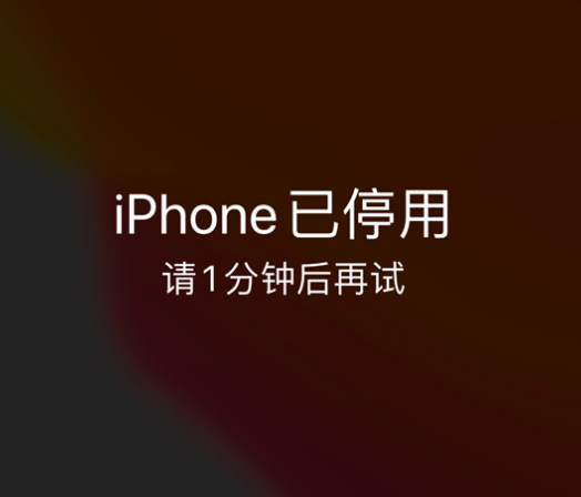 江永苹果手机维修分享:iPhone 显示“不可用”或“已停用”怎么办？还能保留数据吗？ 