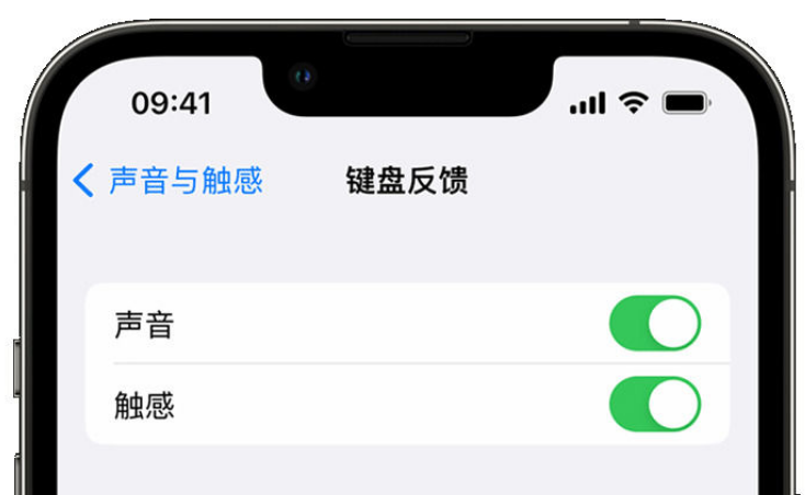 江永苹果手机维修分享iPhone 14触感键盘使用方法 