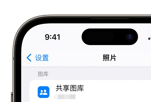 如何在 iPhone 上通过共享图库分享照片？