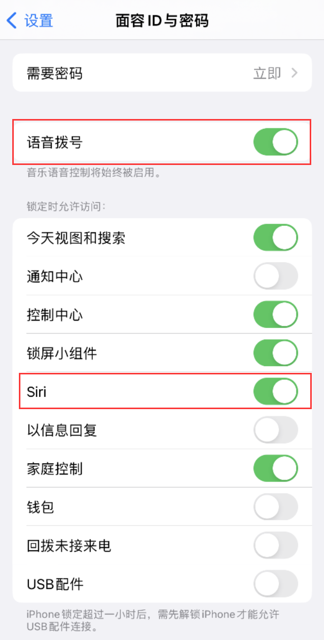 江永苹果维修网点分享不解锁 iPhone 的情况下通过 Siri 拨打电话的方法 