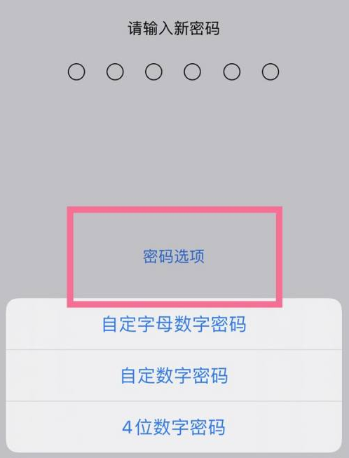 江永苹果14维修分享iPhone 14plus设置密码的方法 