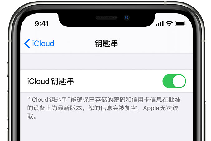 江永苹果手机维修分享在 iPhone 上开启 iCloud 钥匙串之后会储存哪些信息 