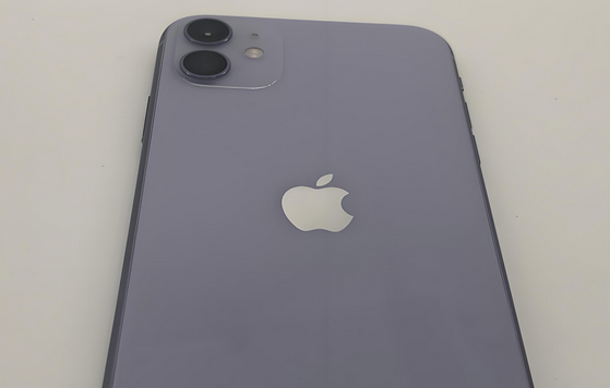 江永苹果11系统维修分享iPhone11手机系统崩溃无法开机如何解决 